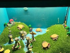 -逃脱反斗城沉浸剧情密室(北京路店)