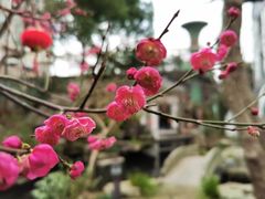 -香然会·园林雅宴(陆家嘴店)