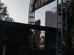 -金山农民画村-枫泾波兰倒置屋