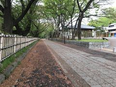 -名古屋城