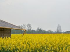 -中国天府农业博览园