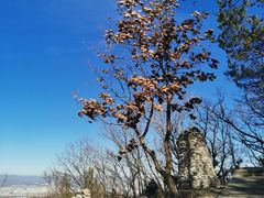 -帽儿山国家森林公园