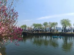 -无锡蠡湖国家湿地公园-蠡园