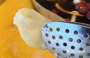 Bird's Nest Chicken Soup Pot