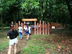 -南宁良凤江国家森林公园