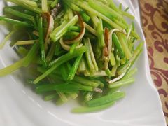 -旅马餐厅(茅家埠店)