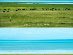 -青海湖国家重点风景名胜区
