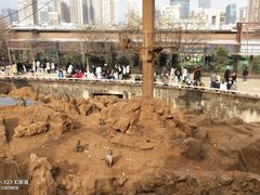 -昆明动物园