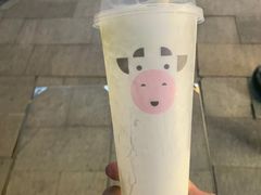 -一只酸奶牛(八一路店)