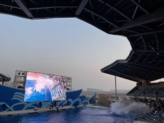 -上海海昌海洋公园