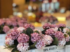 -博纳国际影城(温州5050IMAX店)