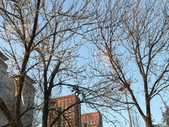 -振生清真饭店(永安道店)