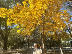 -长白岛森林公园