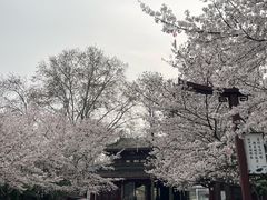 -堤角公园