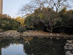 -堤角公园