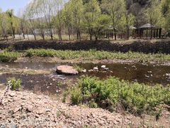 -三块石国家森林公园