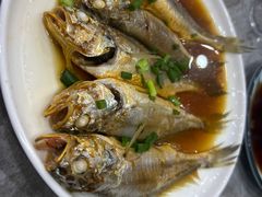 清蒸小黄鱼-红灯笼龙凤饭店(宁波老字号店)