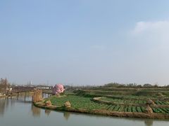 -乌村