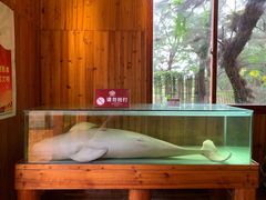 -北海金海湾红树林生态旅游区