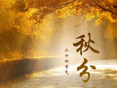 -裕和堂中医推拿艾灸(太古汇臻品店)
