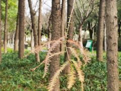 -尚贤河湿地