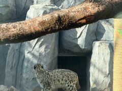 -青藏高原野生动物园