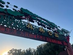 -森林公园(尖草坪区)