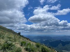-白草畔自然风景区