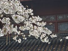 -堤角公园
