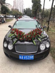 点击看大图 -蚂蚁婚车