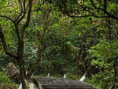 -分塔山省级森林公园