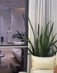 -KeCare科颜精准护肤