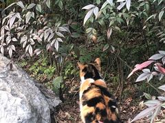 -杭州上天竺法喜讲寺