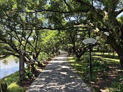 -江心屿景区