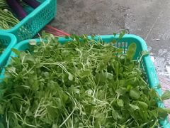 -巢爷老味(东方红店)