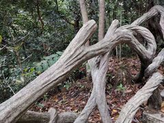 -磐安十八涡风景区