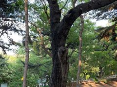 -长辛店二七公园