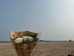 -老龙头景区