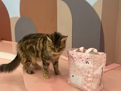 -1013 PET SHOP 宠物商店(近铁城市广场店)