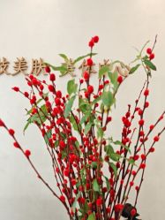 -佳妍惠美科技美肤美体中心
