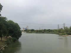 -九里河湿地公园