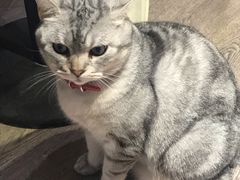 -小时光咖啡馆(开森度假森林店)