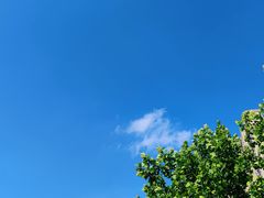 -桃花岭景区