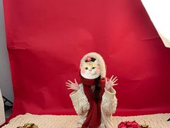 -海马体照相馆(宁波天一广场店)