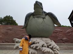 -广东惠东海龟国家级自然保护区
