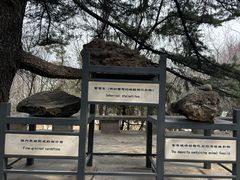 -周口店北京人遗址公园