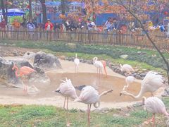 -昆明动物园