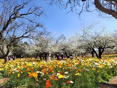 -名花谷生态庄园