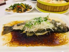 清蒸鲈鱼-广州酒家(文昌总店)