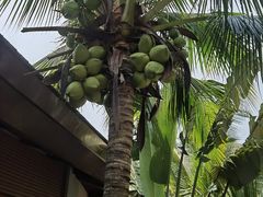 -石梅湾艾美度假酒店